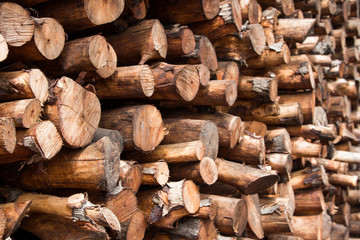 Natural wooden background - closeup of chopped firewood.