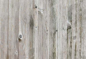 Light wood background