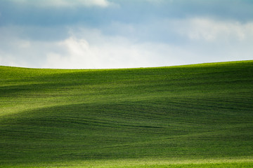 Beautiful lines of a hill