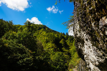 日本の滝　姥ケ滝周辺の渓谷と遊歩道　石川県白山市　白山白川郷ホワイトロード　夏から初秋