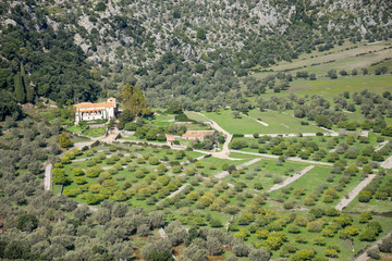 Urlaub, Holiday, Strand, Beach, Mallorca, Flower, Blumen, Pflanzen, Tiere, Landschaften, Landscape