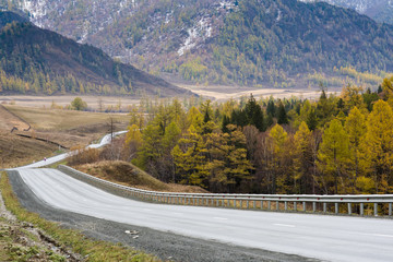 Federal highway M-52 Chuysky tract, asphalt road with markings among the autumn trees.