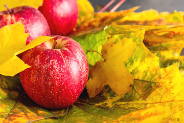Fresh red apples in yellow leaves. Dark background. Autumn meal.