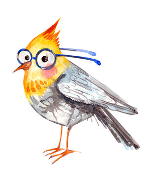 Bird With Glasses