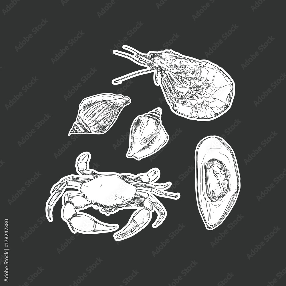 Wall mural set of seafood ,isolated vector.