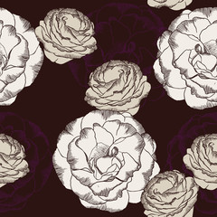 Purple and white rose flower set. Vector illustration.