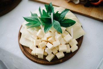 Catering Delicious, healthy cheese, with mint on wood table at wedding reception
