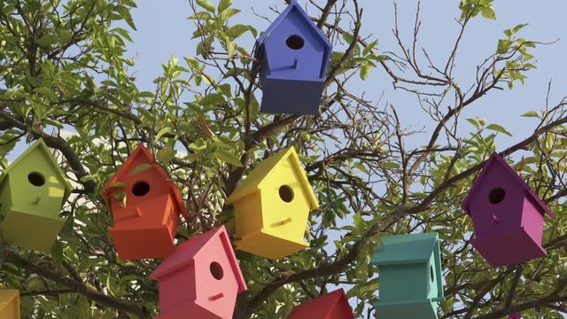 Colourful Wooden Bird Houses On the tree. Illustrate housing problem and mortgage loan