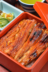 Rice with grilled and flavored eel