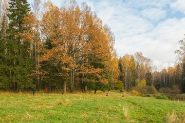 Bright autumn landscape 