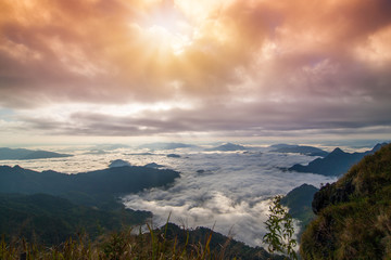  Beautiful landscape of mountain layer in morning sun ray and winter fog at Phu chi fa national forest park in ,Chiang Rai, Thailand