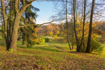 Bright autumn landscape 