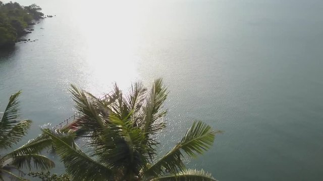 Swimmers in tubes play in the water as the aerial camera looks down on them and out to sea with palm trees in the foreground.