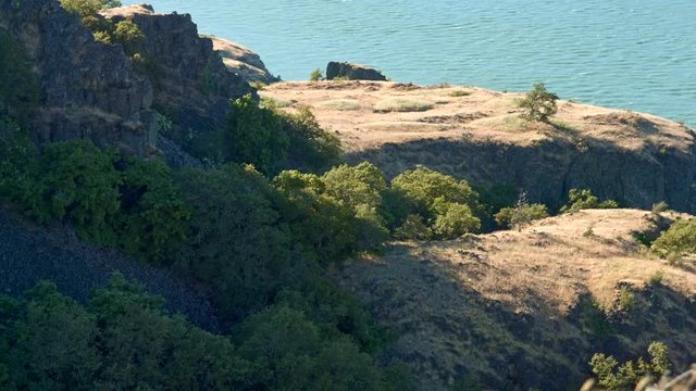 Mima mounds earthquake mounds 2 Rowena Crest Columbia River Gorge Wildflower Meadow