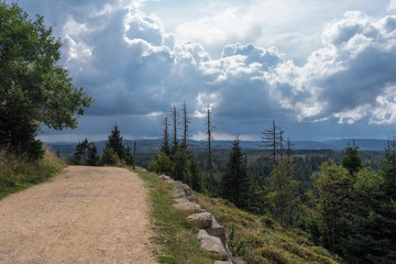 Obraz premium The landscape of mountain in Harz, Germany