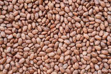 close up of pinto bean for background 
