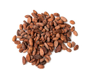 Cacao fruit, raw cacao beans, Cocoa pod on white background