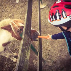 zdrowa przekąska © kattiyo
