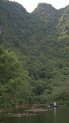 Water lilies growing beneath karst mountains in Vietnam.