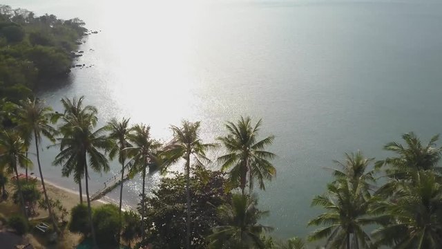Aerial of the Gulf of Siam looking through palms trees with a fishing boat at a dock and light reflecting off of the water.