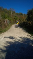 Obraz premium ciclisti