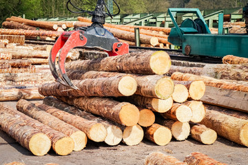 Forstwirtschaft - Holzlager, Greifzange zur Holzverladung - obrazy, fototapety, plakaty