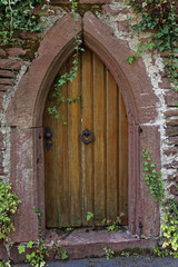Fototapeta na wymiar closed old wooden door, vintage background