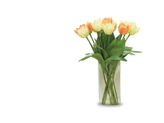 Multicolored tulips in a vase, isolated on white background