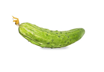 Fresh green cucumber with yellow flower isolated over white