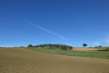 campagna