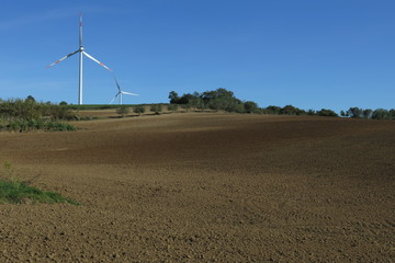 campagna con pale eoliche