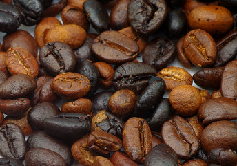 black coffee seed