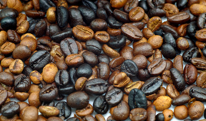 black coffee seed