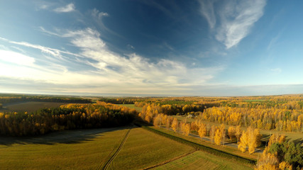Obraz premium Autumn landscape of the forest. Russia. Aerial view.