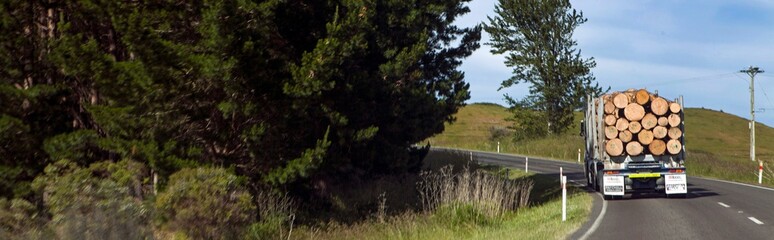 Logging truck at the road New Zealand. Trucking transport. Driving left side of the road. Highway panorama.