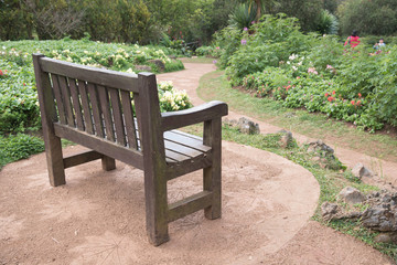 Chair in the garden at doi ang khang chiang mai thailand