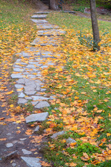 Stone path and yellow fallen leaves on the ground in the city park