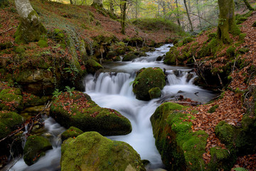 Oto&ntilde;o en Araia - 2