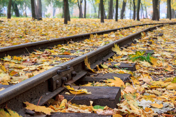 Rails in the city park with fallen yellow autumn leaves