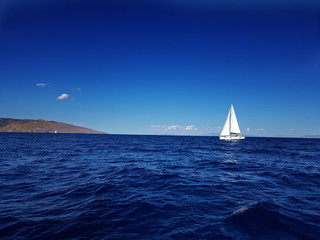 Seascape with a yacht on the horizon