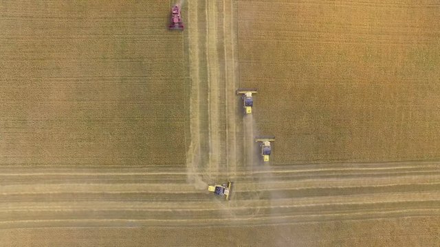 AERIAL: The top view of combine harvesters, unfolding along the edge of the field. Shot from a great height, field of wheat, agriculture works.
