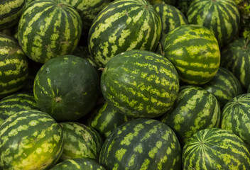 many ripe watermelon. Natural pattern background of green berries close-up