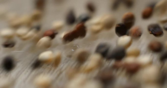 Quinoa falling slowmotion &ndash; orginal file&nbsp;: 4K DCI, PRO RES 444, 12 bits