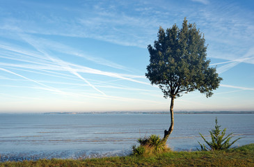 Estuaire de la Charente