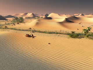 Fototapeta na wymiar Beautiful natural background -African oasis 3d rendering