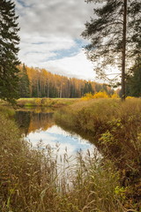 Bright autumn water landscape 