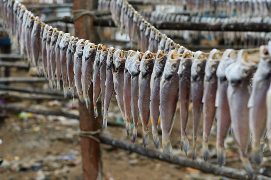 Dried small fish on the street stall