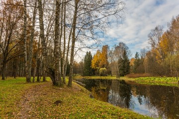 Bright autumn water landscape 