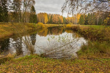 Bright autumn water landscape 