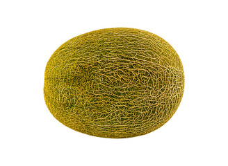 Juicy melon in stripes close-up horizontally on a white background isolated